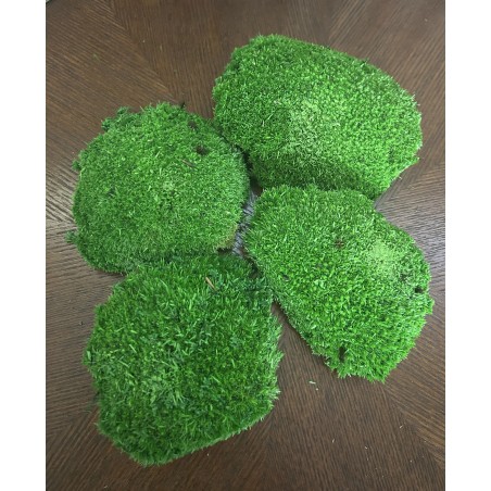 Mousse Boule Stabilisée Vert foncé