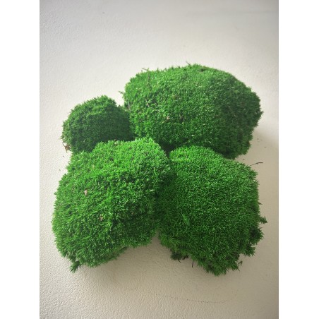 Mousse boule vert foncé