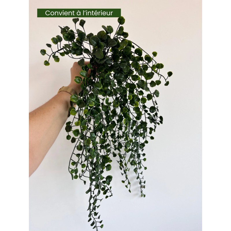 VEGETAL CHUTE