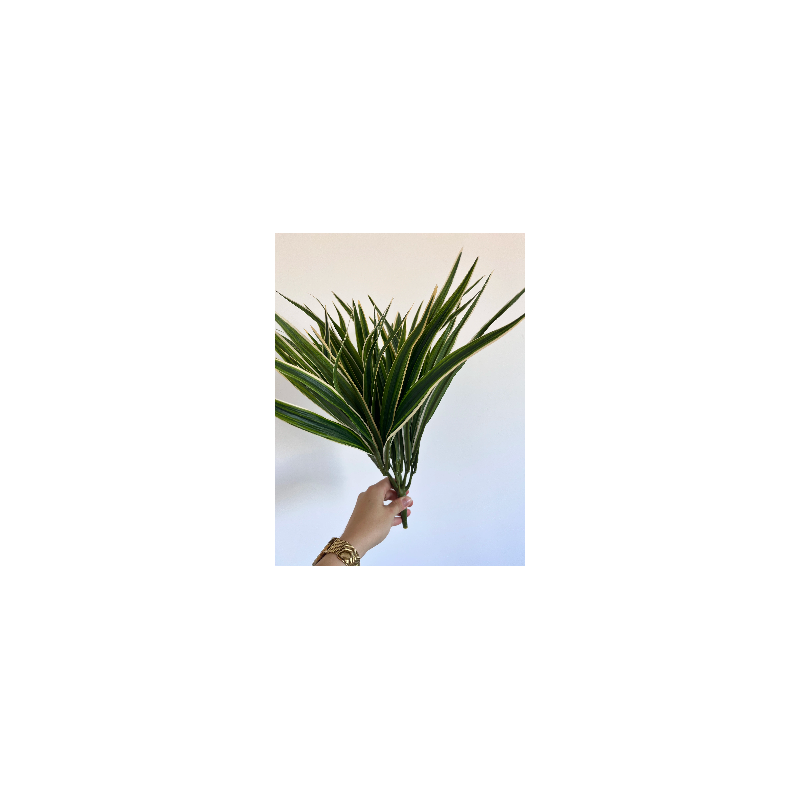 arti