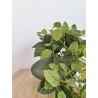 artificiel feuillage