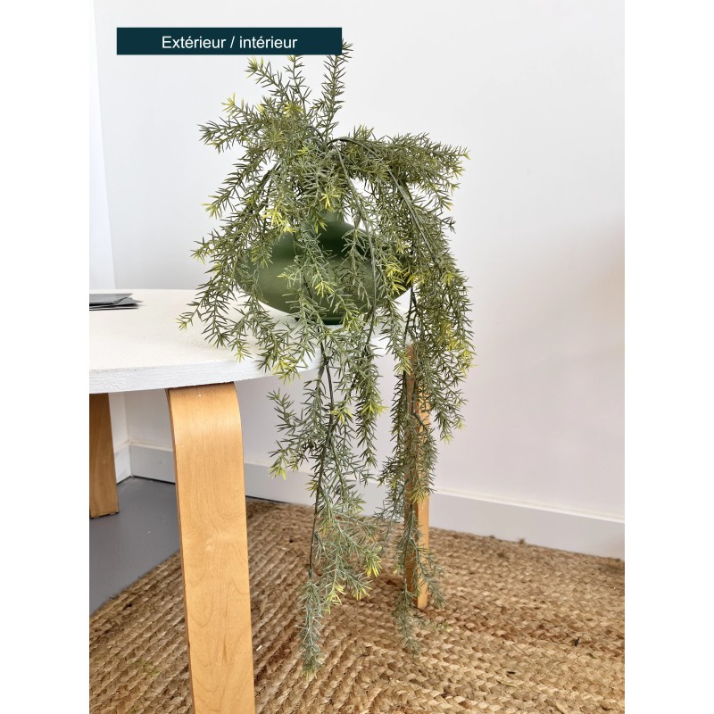 Asparagus artificiel