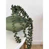 Collier de perle