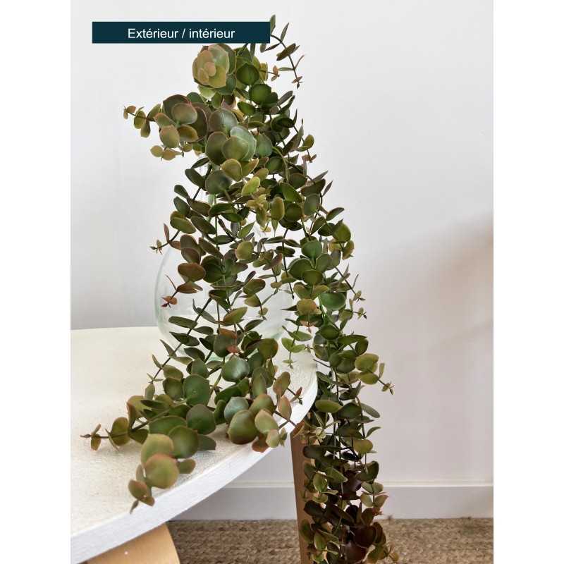 Artificiel chute eucalyptus