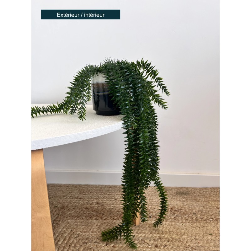 lycopodium artificiel