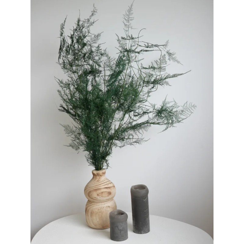 Asparagus stabilisé pour décoration naturelle intérieure