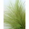 Barba stabilisé naturelle détails