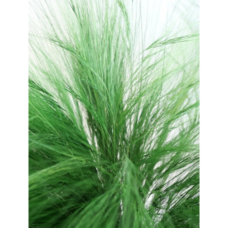 Barba stabilisé verte détails