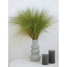 Barba stabilisé naturelle décoration intérieure