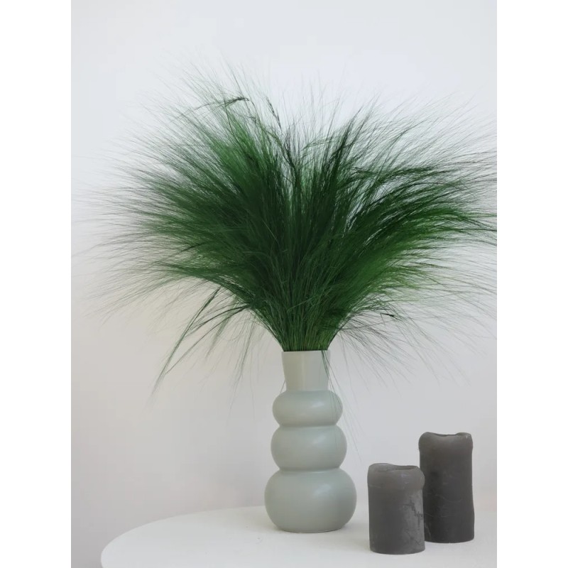 Barba stabilisé verte décoration intérieure