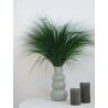 Barba stabilisé verte décoration intérieure
