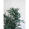 Eucalyptus nicoly vert stabilisé détails
