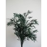 Eucalyptus nicoly vert stabilisé