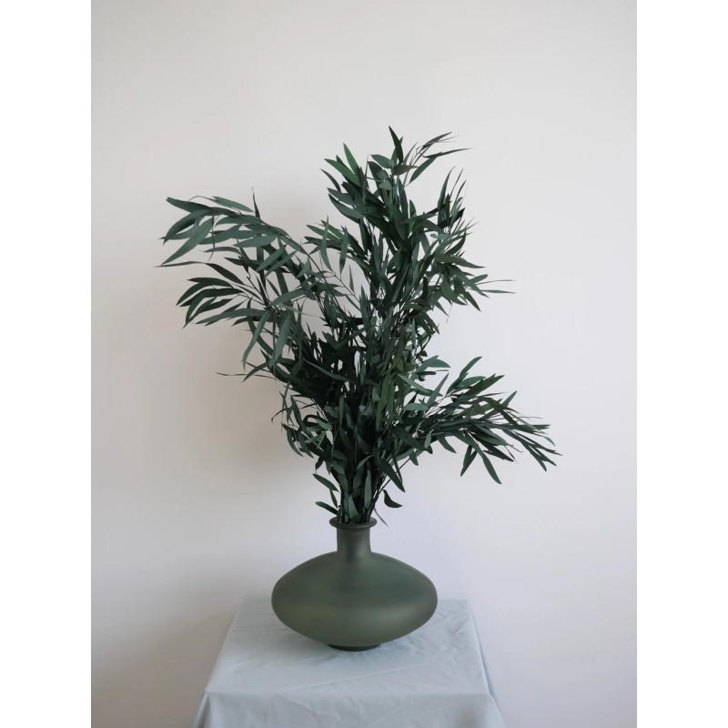 Eucalyptus nicoly vert stabilisé décoration intérieure