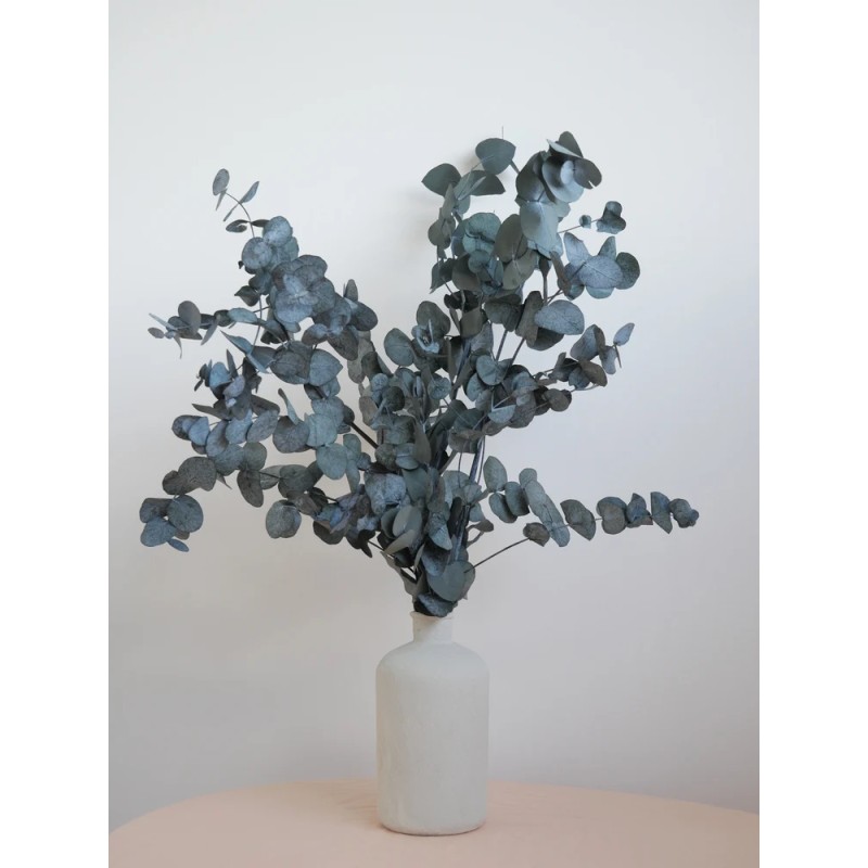 Eucalyptus cinerea vert stabilisé décoration intérieure