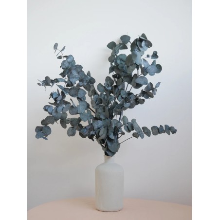 Eucalyptus cinerea vert stabilisé décoration intérieure