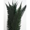 Fougère rock fern stabilisée détails
