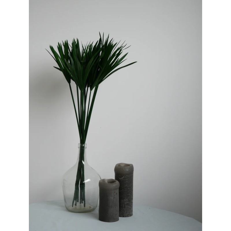 Papyrus vert stabilisé décoration intérieure