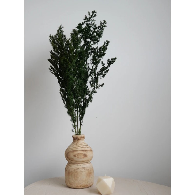 Ming fern stabilisé décoration intérieure