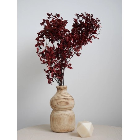 Pittosporum rouge stabilisé décoration