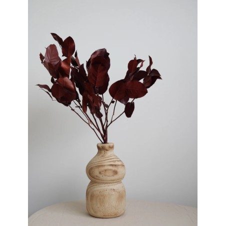 Salal rouge stabilisé décoration intérieure
