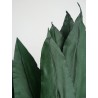 Tropical leaf stabilisée détails