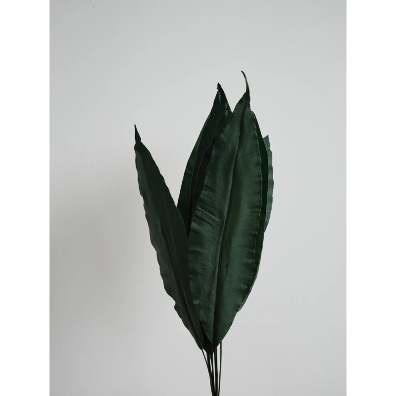 Tropical leaf stabilisée