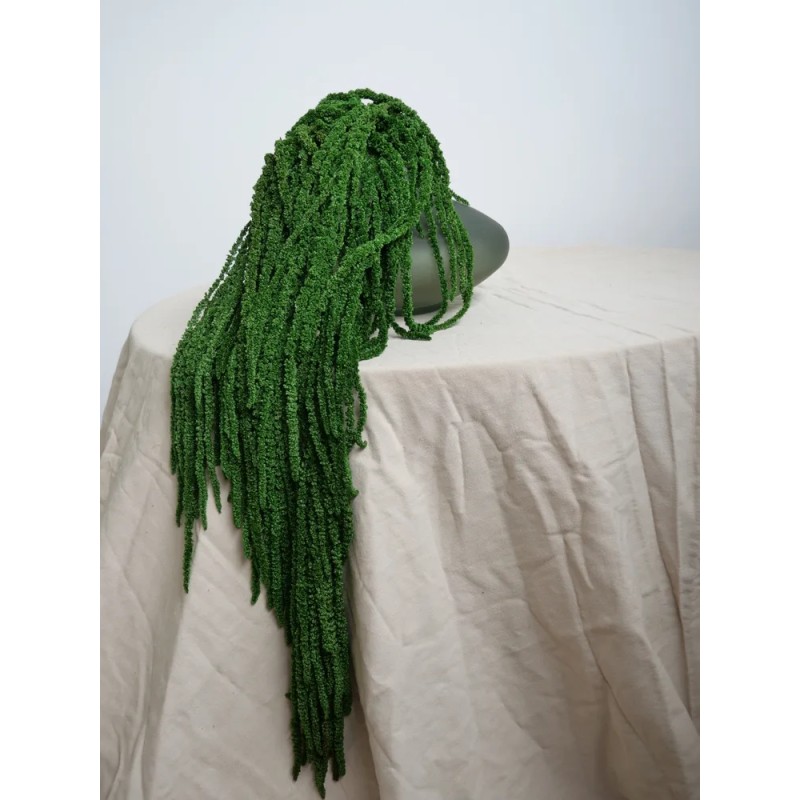 Amarante verte foncée stabilisée