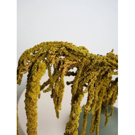 Amarante amande stabilisée détails