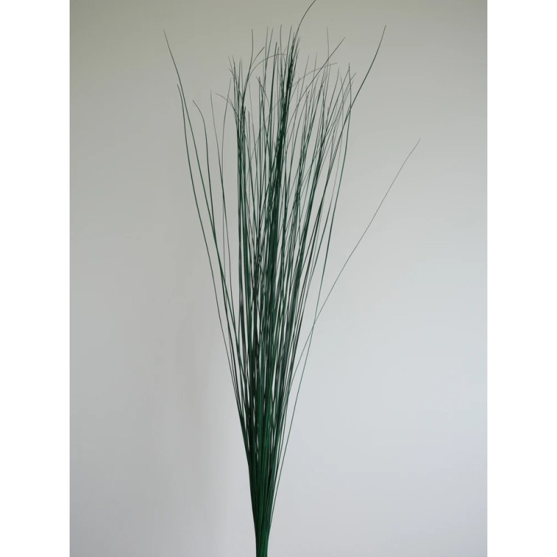 Steel grass stabilisé feuillage
