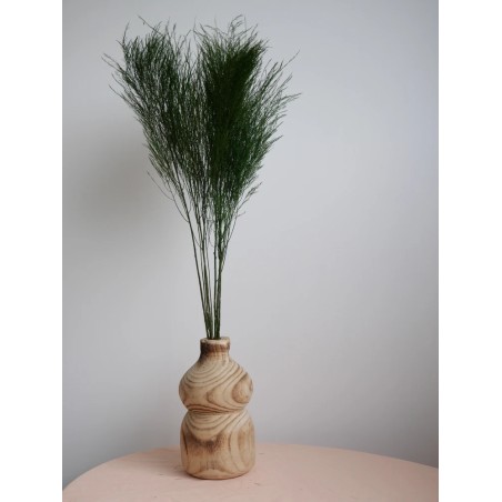 Tree fern vert stabilisé decoration interieure