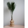 Tree fern vert stabilisé decoration interieure