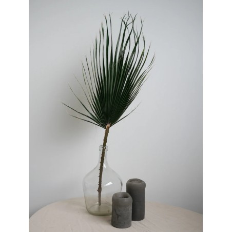 Palme de washingtonia stabilisée verte decoration intérieure
