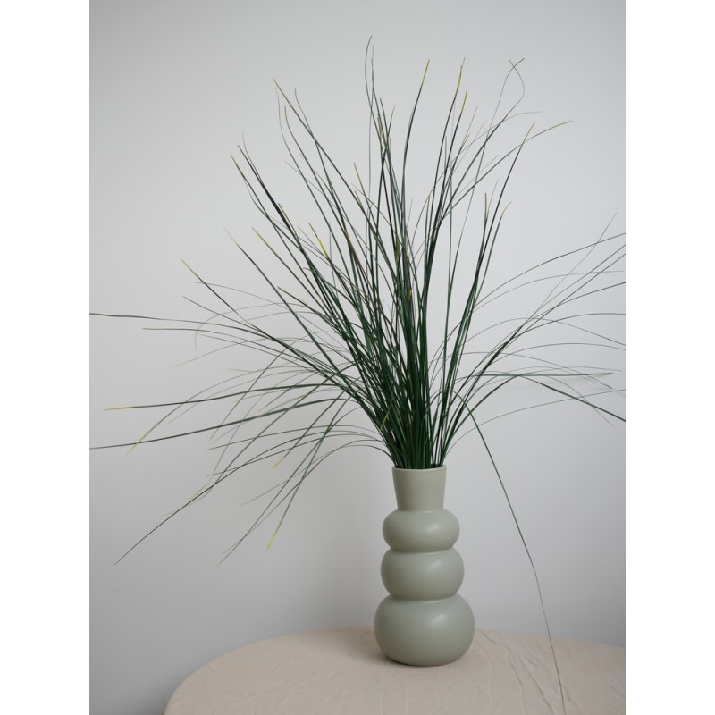 Bear grass stabilisé décoration interieure
