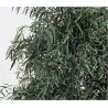 Nicoly slim stabilisé arbre