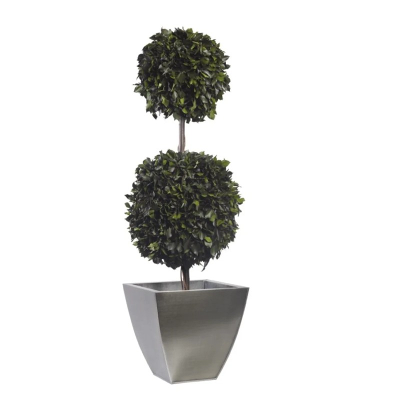 Topiaire Double Boule de Lierre