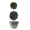 Topiaire Double Boule de Lierre