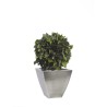 Boule de Lierre Stabilisé vert 50cm