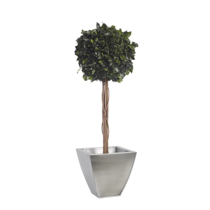 Boule de Lierre Stabilisé vert 100cm