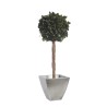 Boule de Lierre Stabilisé vert 100cm