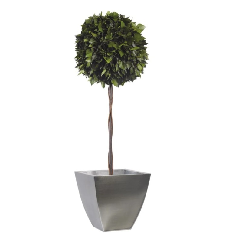 Boule de Lierre Stabilisé vert 140cm