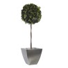 Boule de Lierre Stabilisé vert 140cm