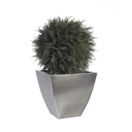 Boule de Thuya stabilisée 65cm
