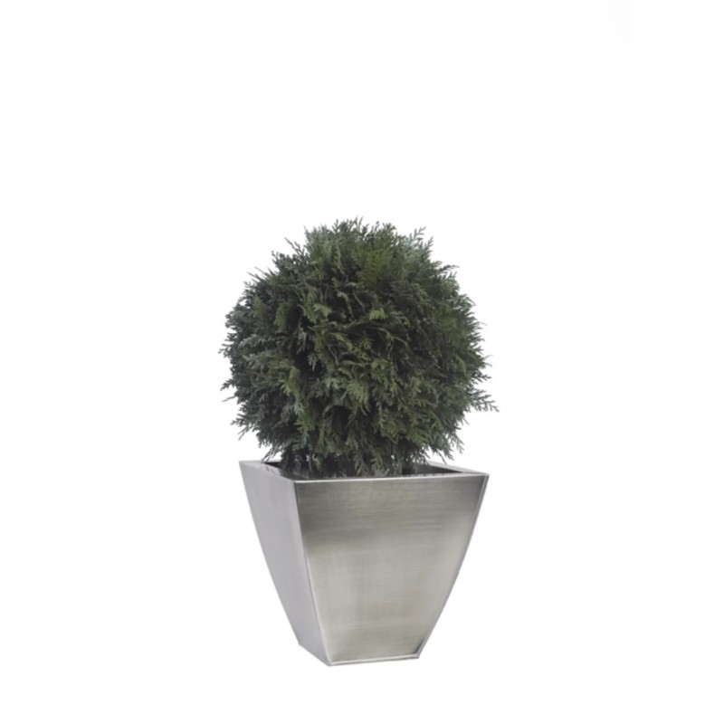 Boule de Thuya stabilisée 50cm