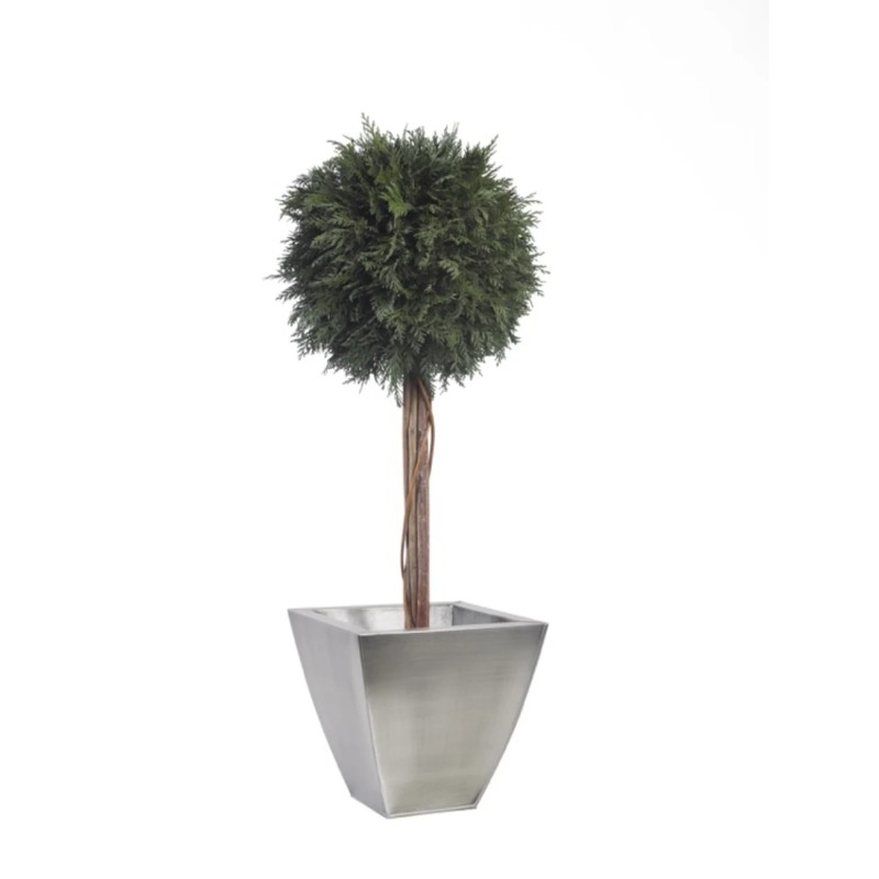 Boule de Thuya stabilisée 100cm