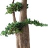 Arbre Bonsaï Juniperus stabilisé vert zoom