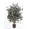 Eucalyptus Populus large stabilisé vert 130cm