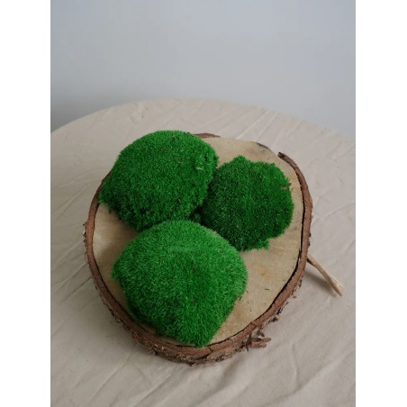 mousse boule vert stabilisée