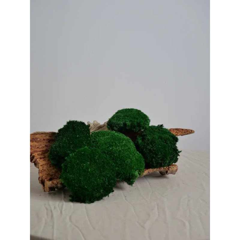 mousse boule vert foncée stabilisée