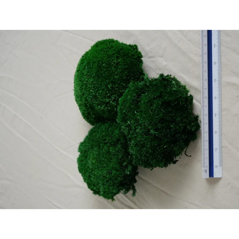 mousse boule vert foncée stabilisé dimensions